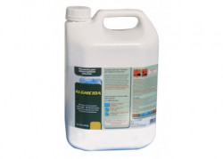 Alghicida liquido - Lt. 25